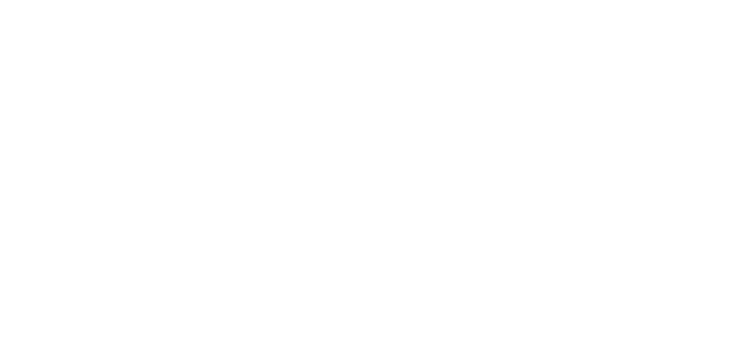 Apoiador 2